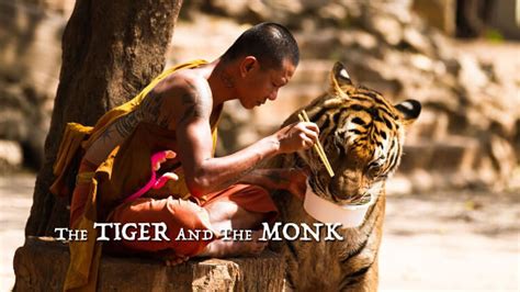  The Tiger-Eating Monk: A Chinese Folktale Exploring the Boundaries Between Cruelty and Compassion!